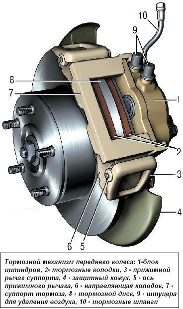 tormeh.jpeg tormeh.jpeg